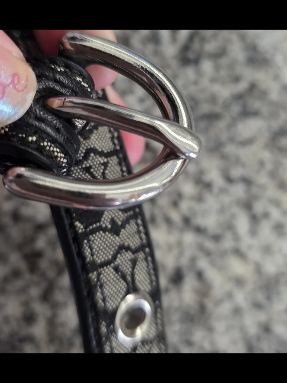 Authentic Coach Signature Black Gray Logo Dog Cat Pet Collar 4003 Medium Retired